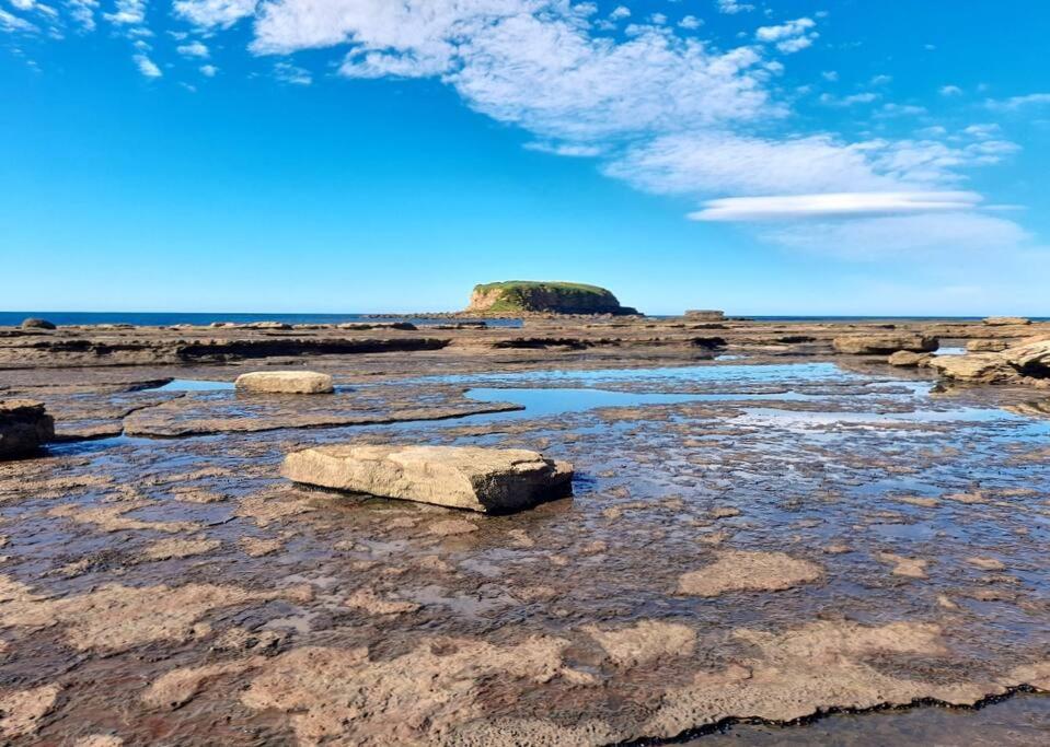 North Durras Beach Cottage Luaran gambar