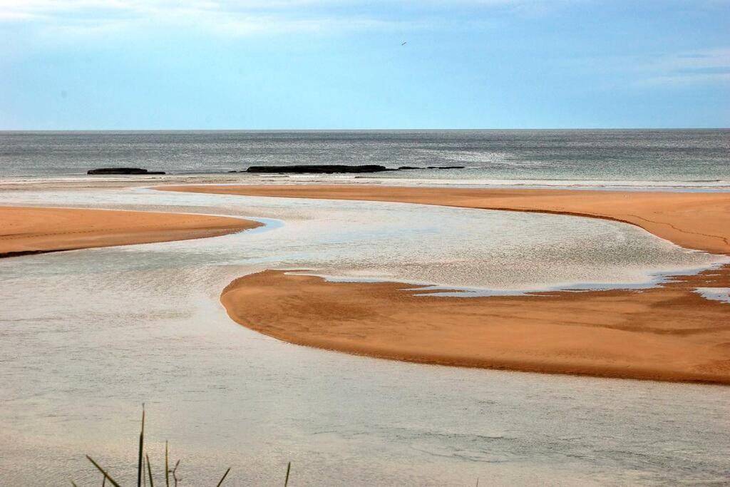 North Durras Beach Cottage Luaran gambar